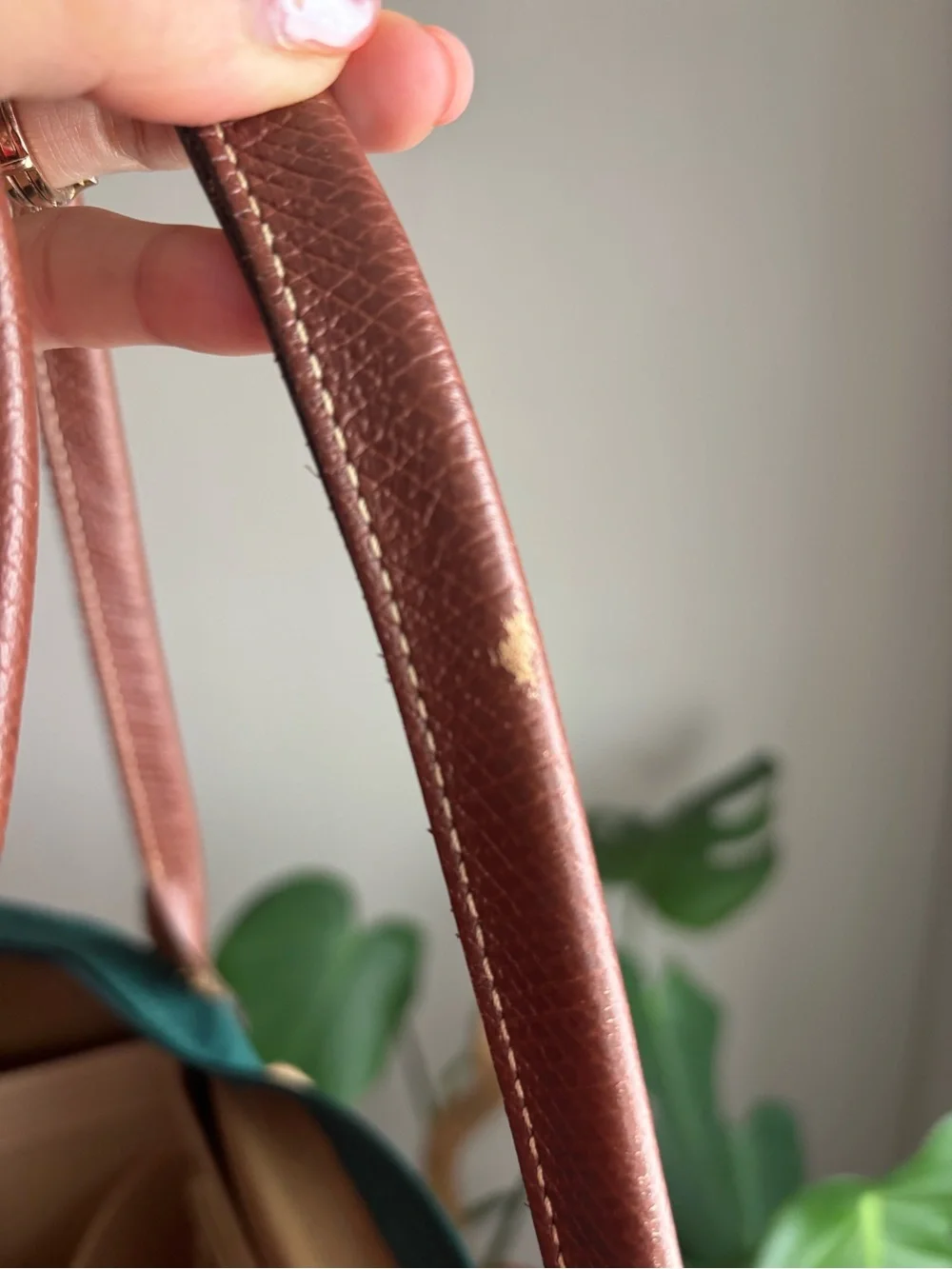 Forrest Green Medium Le Pliage Long Handled